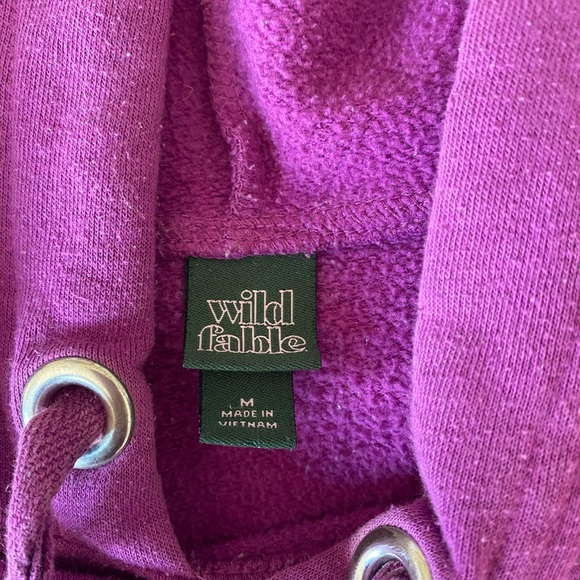 Wild Fable Hoodie Sweater - Picture 2 of 2